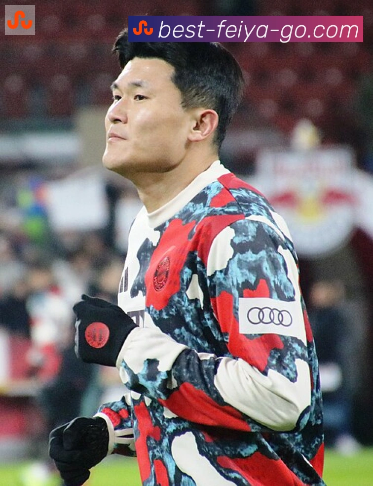 维尼修斯